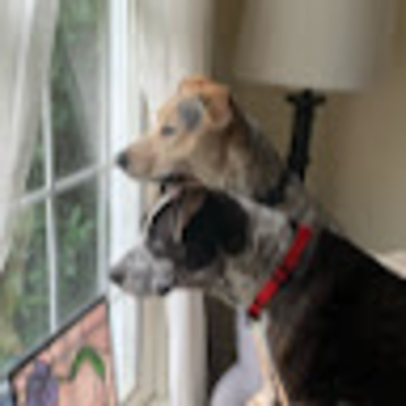 Meet your Posher, Michelle - Picture 1 of 1